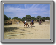 Arena lesson