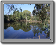 Our dam in summer