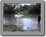 Odette and Carel in our dam